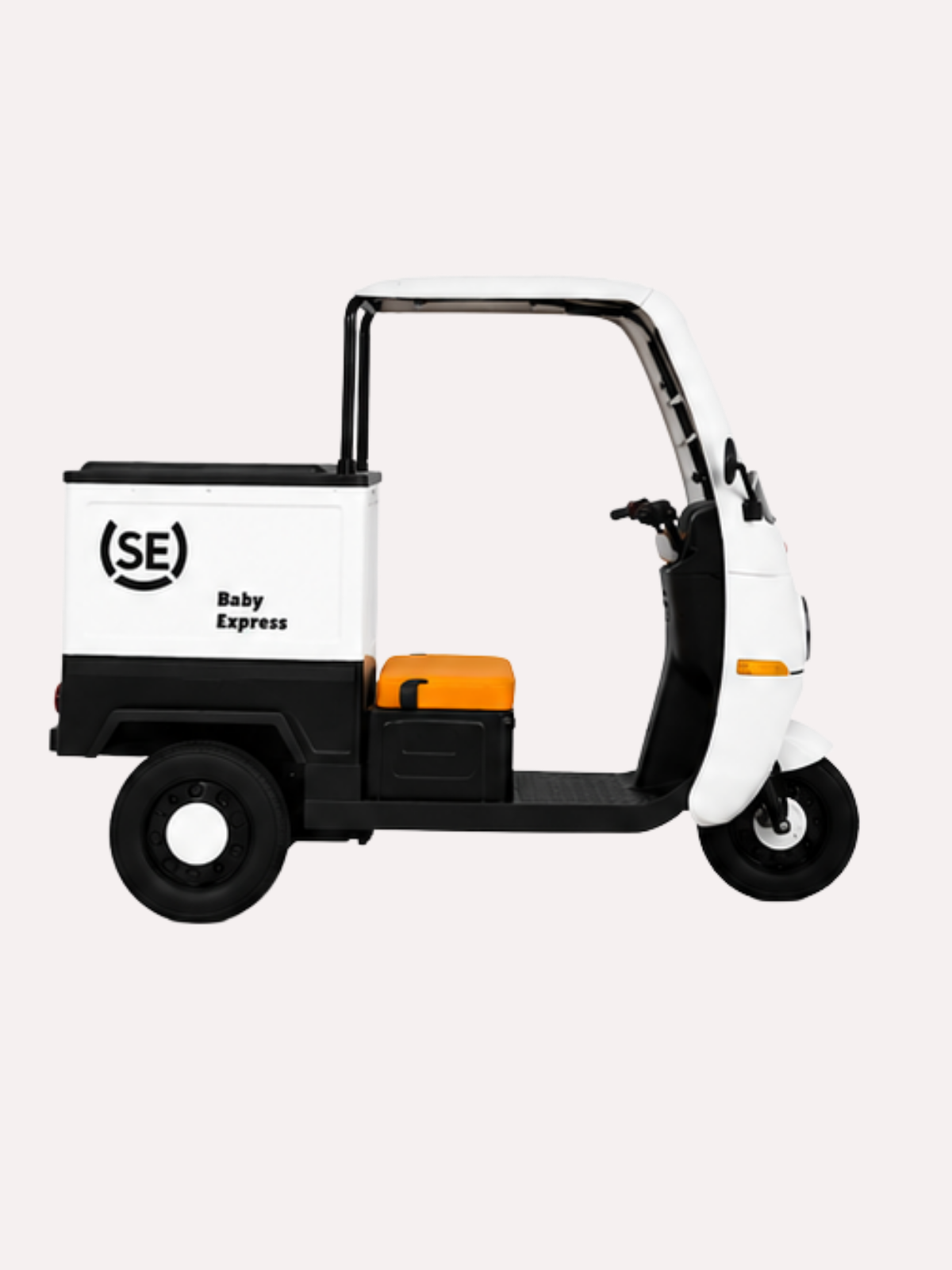 Electric Auto Rickshaw Cargo Tricycle – Dual Motor